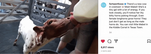 katemazade giphyupload GIF