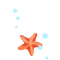 Wearefeels Sticker by feels