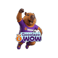 Wowfut Sticker by WOW Perú
