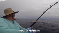 Fisherman Catches Massive Marlin