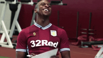 happy premier league GIF by Aston Villa FC