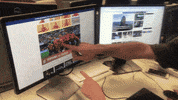 GIF by euronews