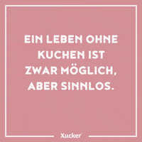 Xucker cake backen kuchen lowcarb GIF