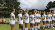 vwu_marlins marlins vwu wethebeach virginiawesleyan GIF