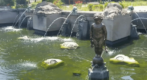 Frog Baby GIF by Ball State University