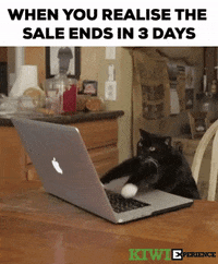 Book Sale GIF by KiwiExperience