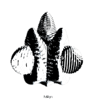 black and white 3d Sticker by Miron