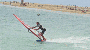 Freek GIF by Severne Windsurfing