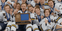 Lets Go Champions GIF by Hockeyland