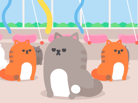 cats GIF by James Curran