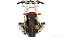 Royal Enfield Trydeal GIF by 007Plate.com