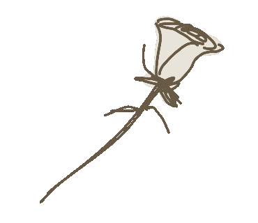 Rose バラ Sticker