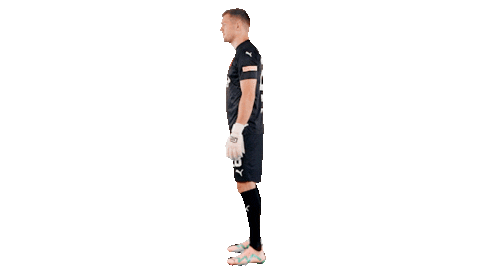 Football Soccer Sticker by SK Slavia Praha
