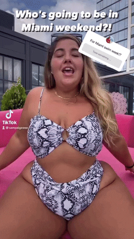 vilecoyote giphyupload GIF