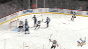 Happy Ice Hockey GIF by San Diego Gulls