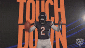 Dj Celebrate GIF by Chicago Bears