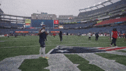 Kendrick Bourne Football GIF by New England Patriots