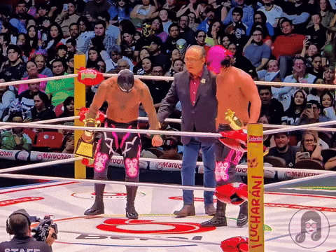 Lucha Libre Win GIF