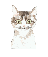 Cat Blink Sticker