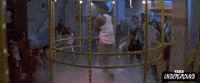 Los Angeles Party GIF by Turner Classic Movies