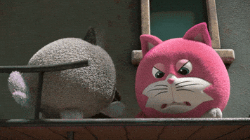 Angry Cat GIF by HangryPetz