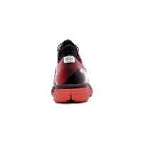 Run Running Sticker by Raidlight