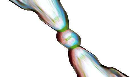 Phone Wow Sticker by De Cicco Store