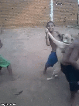 GIF by Demic