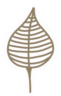 Autumn Leaf Sticker by scholzydesign