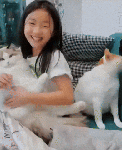 cuteanimalland giphyupload GIF