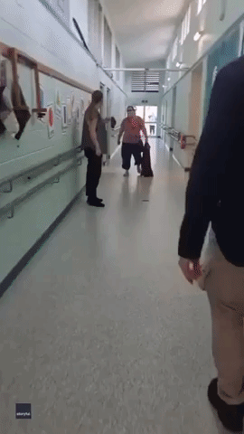 Queensland Catcher Removes Snake Seen Lurking in School Hallway