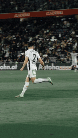 Celebration Goal GIF by SK Sturm Graz