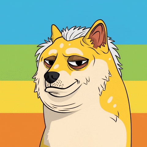 Shiba Inu Dog GIF by Doge Pound