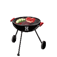 Bbq Grill Sticker by Möbel Höffner