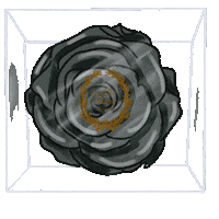 LaVieEnRoseOfficial flowers bouquet florist florals Sticker