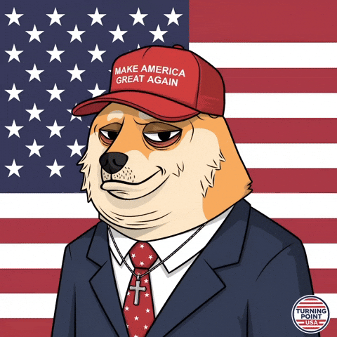 American Flag Nft GIF by Doge Pound