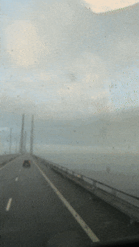 Great Danes Denmark GIF