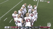 Regular Season Football GIF by NFL