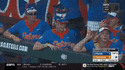 florida softball GIF by NCAA Championships