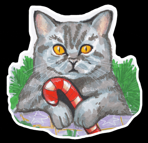 Cat Christmas GIF