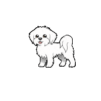 Dog Mia Sticker