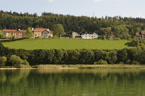 damienpoirier giphyupload tourisme franche-comtÃ© franche-comtÃƒÂ© GIF