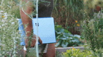 Community Working GIF by Microsoft Surface