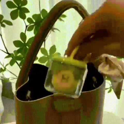 diegoedgardomenaespinoza giphyupload GIF