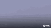 showtime lol comedy showtime haha GIF