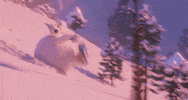 channing tatum lol GIF by SMALLFOOT Movie