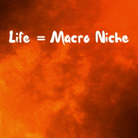 Nft GIF by Digital Pratik