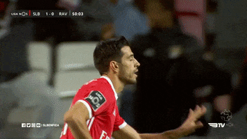 Wait Calm Down GIF by Sport Lisboa e Benfica