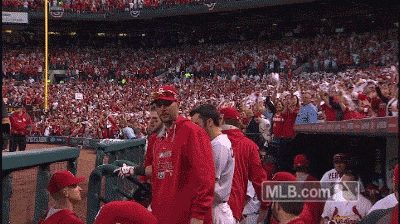 st louis cardinals baseball GIF