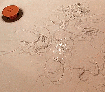 single GIF